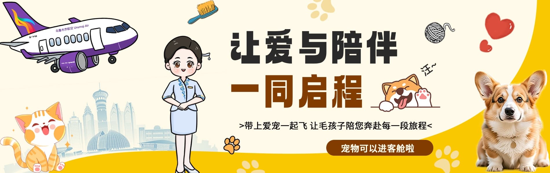 客舱宠物